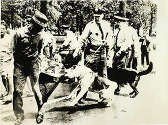 Southern police dog rips clothing of black civil rights protester [links to images of police brutality against black civil rights protesters]
